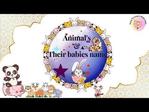 Animals & their young ones | Animals and their babies name | Animals babies | Baby animals |