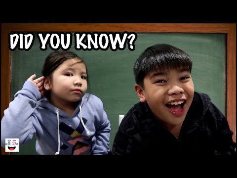 DID YOU KNOW? FUN FACTS AND SILLY FACTS