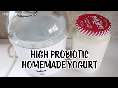 How To Make High Probiotic Homemade Yogurt - Salton Yogurt Maker