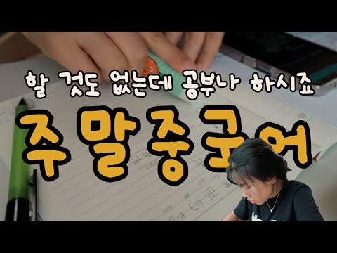 [통역사/제2외국어] 쌩초보!! 노가다!! 중국어 공부브이로그