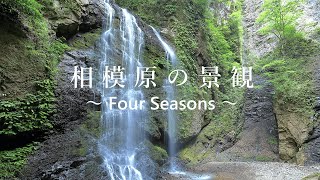 相模原市景観動画「相模原の景観　～Four Seasons～」（ダイジェスト版）