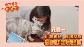 小英開箱馬祖島嶼味蕾實驗室！你最喜歡的馬祖料理是什麼？ ft.家香味食堂 #虎力健康福氣旺【94要客訴】