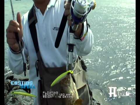 FISHING BUDDY-Alive Lures-Salt water (part 3).wmv