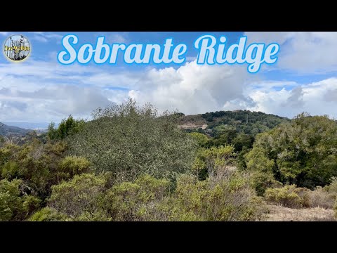 JayWalkin in The Woods 🌳🌲| El Sobrante, California 🇺🇸 [4K]