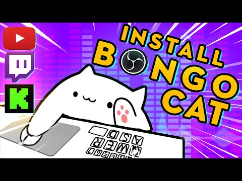 How to ACTUALLY Install Animated Bongo Cat OBS Plugin - 2023