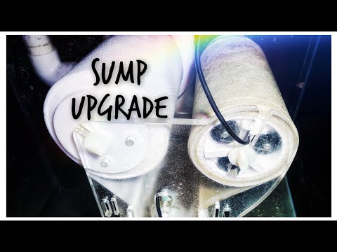 We Install the ClariSea Gen2 SK-5000 - Huge Sump Upgrade