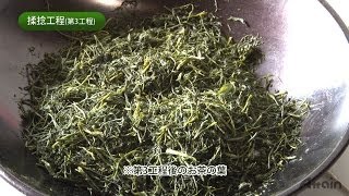 煎茶の製造工程✿日本の食文化：日本茶「室園銘茶株式会社」日本通tv