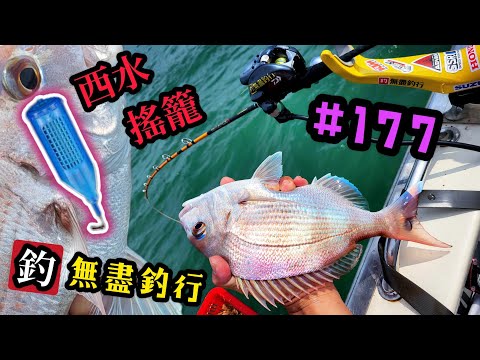 杜小銘的無盡釣行#177_#釣魚 #香港釣魚 #釣り #艇釣 #船釣 #雞魚 #白鱲 #誘餌籠 #搖籠 #五目釣り #牛屎鱲  #鱲魚 #黃腳鱲  #西水 #黑沙 #港水 #黑鱲 #コマセ釣り