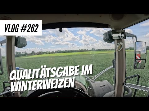 Vlog #262 Quality in winter wheat