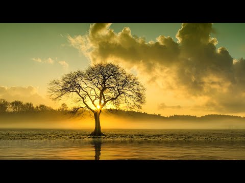 自然声 钢琴音乐  平静静心  解压放松  Ambient  Music  piano music  relaxing music