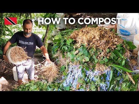 Composting Class at Wa Samaki Ecosystems in Trinidad & Tobago 🇹🇹 Foodie Nation