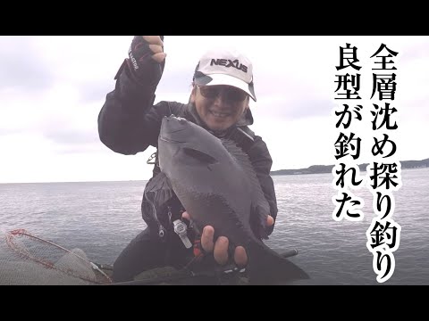 全層沈め探り釣りで良型グレが釣れて感動しました【串本大島・後半】