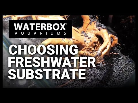 The FRESH Start to Planted Aquariums with Perfect Substrates!