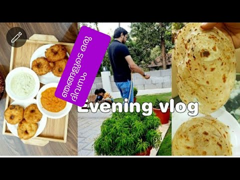 Evening vlog വൈകുന്നേര വിശേഷങ്ങൾ