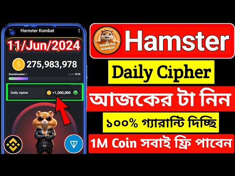 hamster kombat daily chiper । daily cipher in hamster । daily cipher hamster kombat । hamster kombat