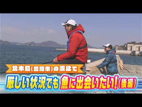 「釣れたってことでいいですか？」厳しい春の波止釣り【後編】｜FISHパレード（2024年4月5日放送）