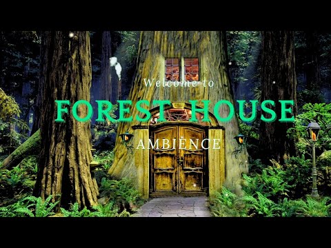 Welcome to the Forest House | 2 Hours of Calming Nature Sounds