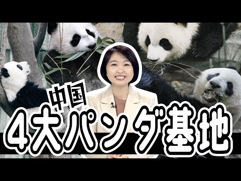 【シャンシャンついに帰国】中国４大パンダ園紹介！