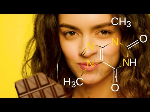 The Science of Chocolate -  Cacao, Theobromine, & Cocoa Butter