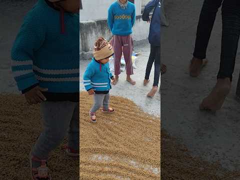 मेरा लल्ला कितना मेहनती है#viralshort #cute #viralshort #tranding video