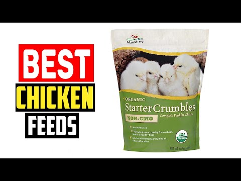 ✅The 5 Best Chicken Feeds of 2023