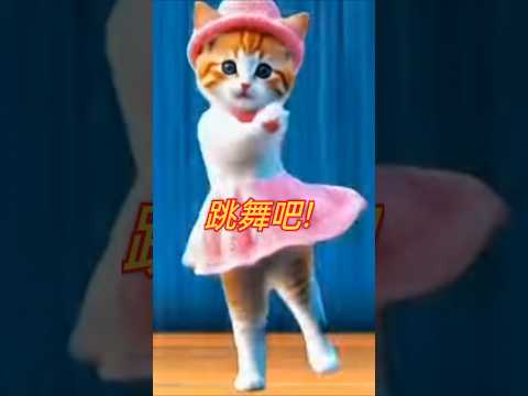 跳舞歌你要跳舞嗎？#cat #可愛 #貓 #貓咪 #短片 #貓主子 #貓奴 #萌系 #跳舞 #萌寵 #療癒 #可愛動物 #治癒小貓 #治癒系 #lovely #kitten