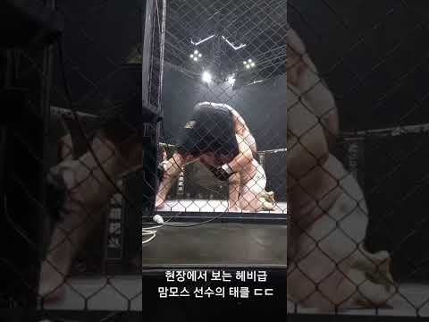 맘모스김명환vs챔프 록키 마르티네즈 성명준콜아웃