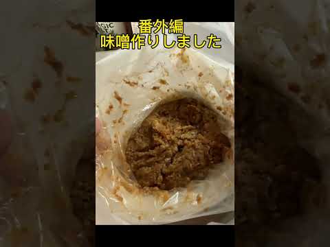 番外編　味噌作り　1年近く仕込んだ味噌できました。ほぼ放置、発酵菌類万歳！