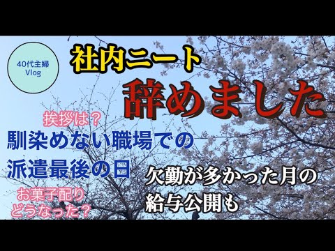 【派遣の仕事】派遣最後の出勤日/最後の挨拶は何が正解？/派遣のお給料公開【40代主婦vlog】