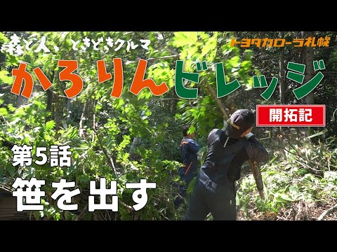 【森を開拓】森と人、ときどきクルマ『かろりんビレッジ』#5 笹を出す