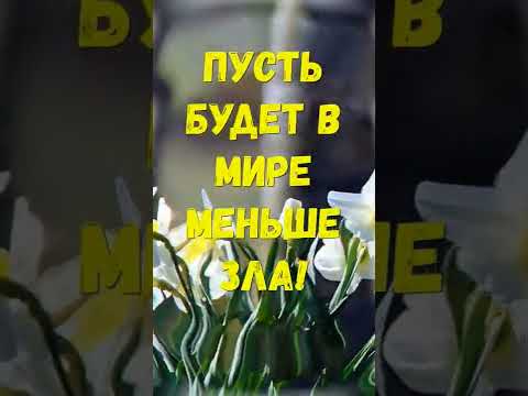 Всем добра!#shorts