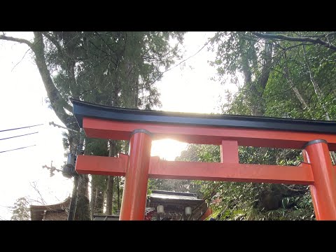 ⛩️３９秒眺めてると3日後に奇跡が起こります。