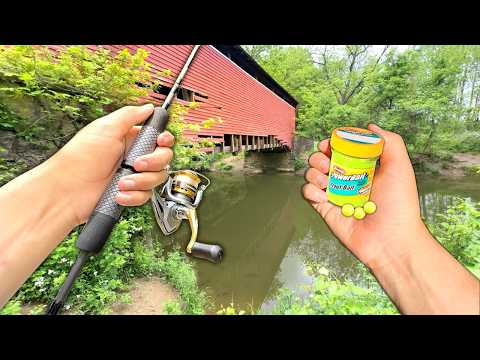 Eating Whatever I Catch.. Creek Fishing for Stocked Trout (Catch and Cook)