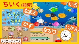 たのしくおぼえる！キッズアニメ＃１３★知育動画(いろ・かず・なまえ)子供向けアニメ★Educational video for kids