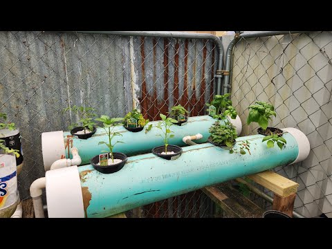 The Double Barrel Hydroponic Garden