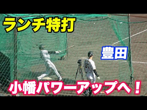 【打撃が課題と小谷野コーチの指導で打撃力アップなるか！小幡と豊田のランチ特打！】