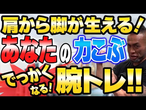 シュワちゃんの時代から受け継がれる【効率的な】腕を太くするトレーニング！