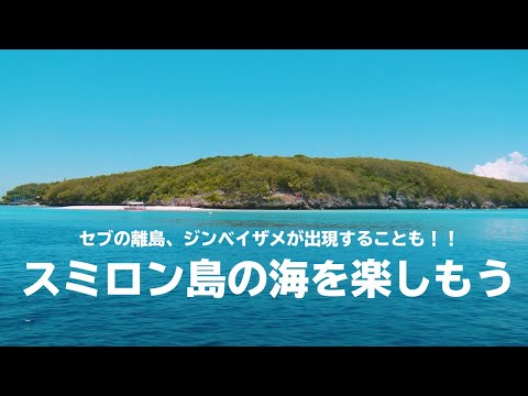 セブの離島、ジンベイザメが出現することも！！スミロン島の海を楽しもう