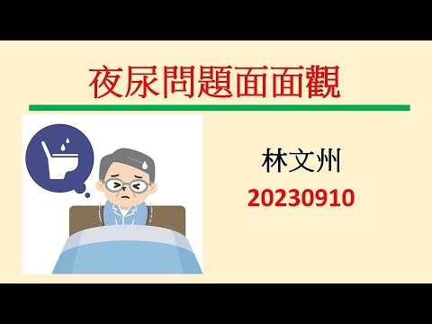 夜尿問題面面觀－林文州20230910