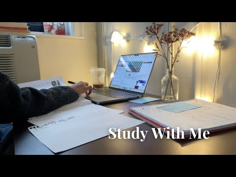 Study with me - 4 hours - calm, lofi music - 25 minutes study, 5 minute break