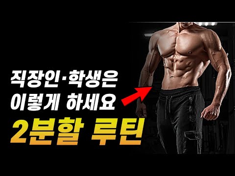 '2분할 운동 루틴', 바쁜 직장인, 학생들을 위한 최적의 분할법