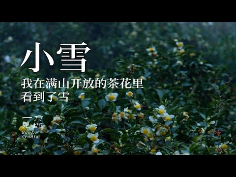 冬天是属于勇敢者的#小雪 #一日一植物 #乡村守护人