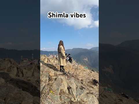 Shimla highest peak for photoshoot #dance #bollywood #shimla #shimladancesteps #akela