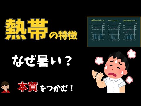 熱帯の特徴についてわかりやすく解説（ケッペンの気候区分）【地理】