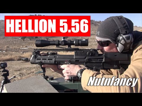 Springfield Hellion Bullpup Review by Nutnfancy