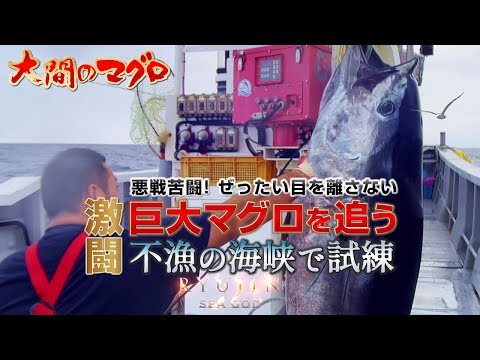 大間まぐろ~不漁の海で巨大マグロを追う~［竜神特番］ぶっつけ 二刀流 トローリングダブル漁法 巨大鮪 マグロハンター 漁師 マグロ釣り｜2023 RYUJIN｜龍神りゅうじん おおま せいほうまる