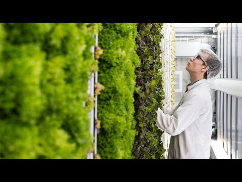 State-of-the-art vertical farms feed Auburn campus