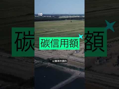 DW調查報導：突擊涉嫌「氣候詐欺」的 #中國 企業