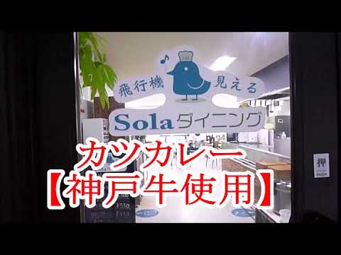 🔴【えひめ国体】スチュワーデス・飛行士・エンジニア＆神戸牛カツカレーに出会いたい★食べたいならここに行く？(愛顔つなぐえひめ国体)