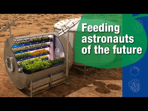 Feeding the astronauts of the future